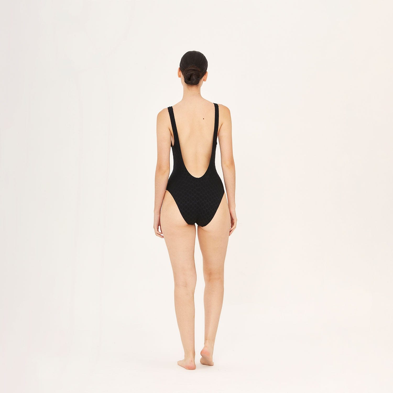 25% OFF ONE PIECE 26 ONE PIECE SAGO PALM 178